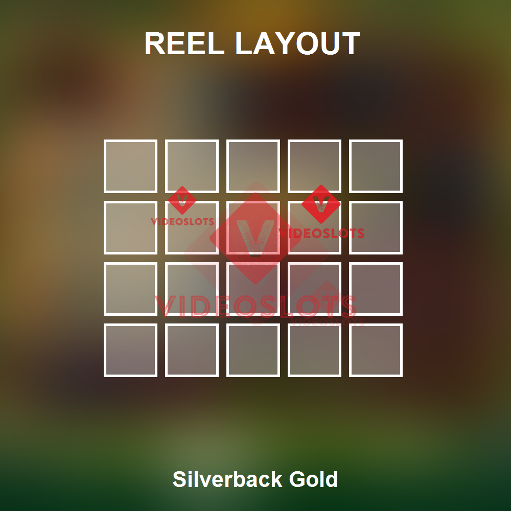 Silverback Gold reel layout