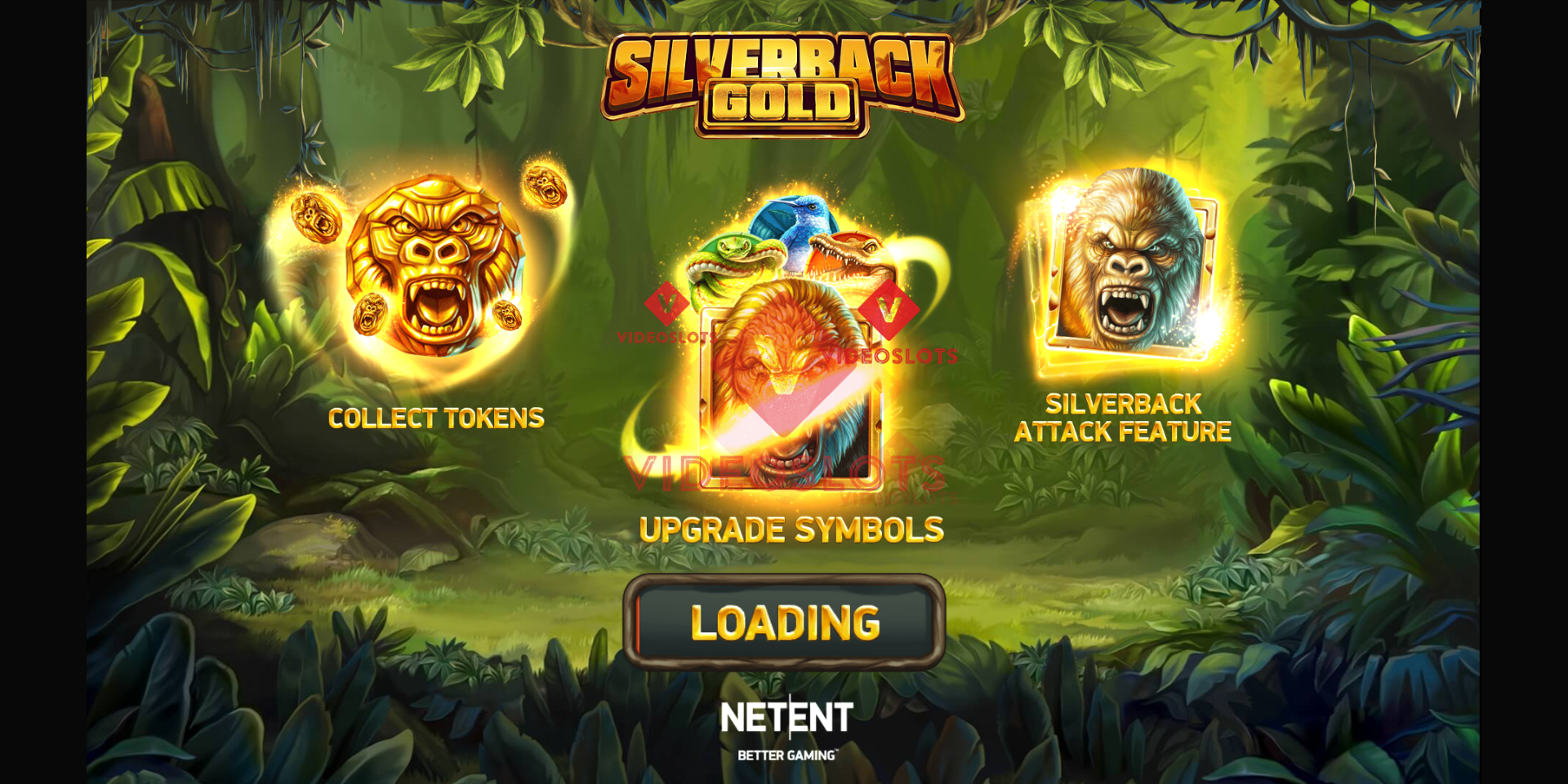 Game Intro for Silverback Gold slot from NetEnt