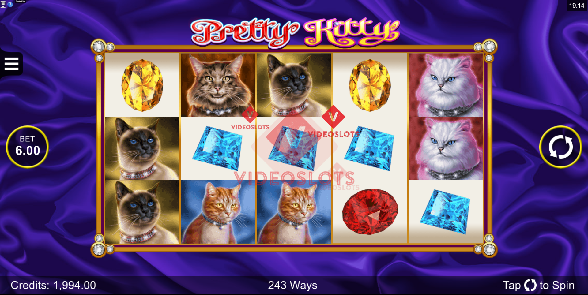 Base Game for Pretty Kitty slot for Microgaming