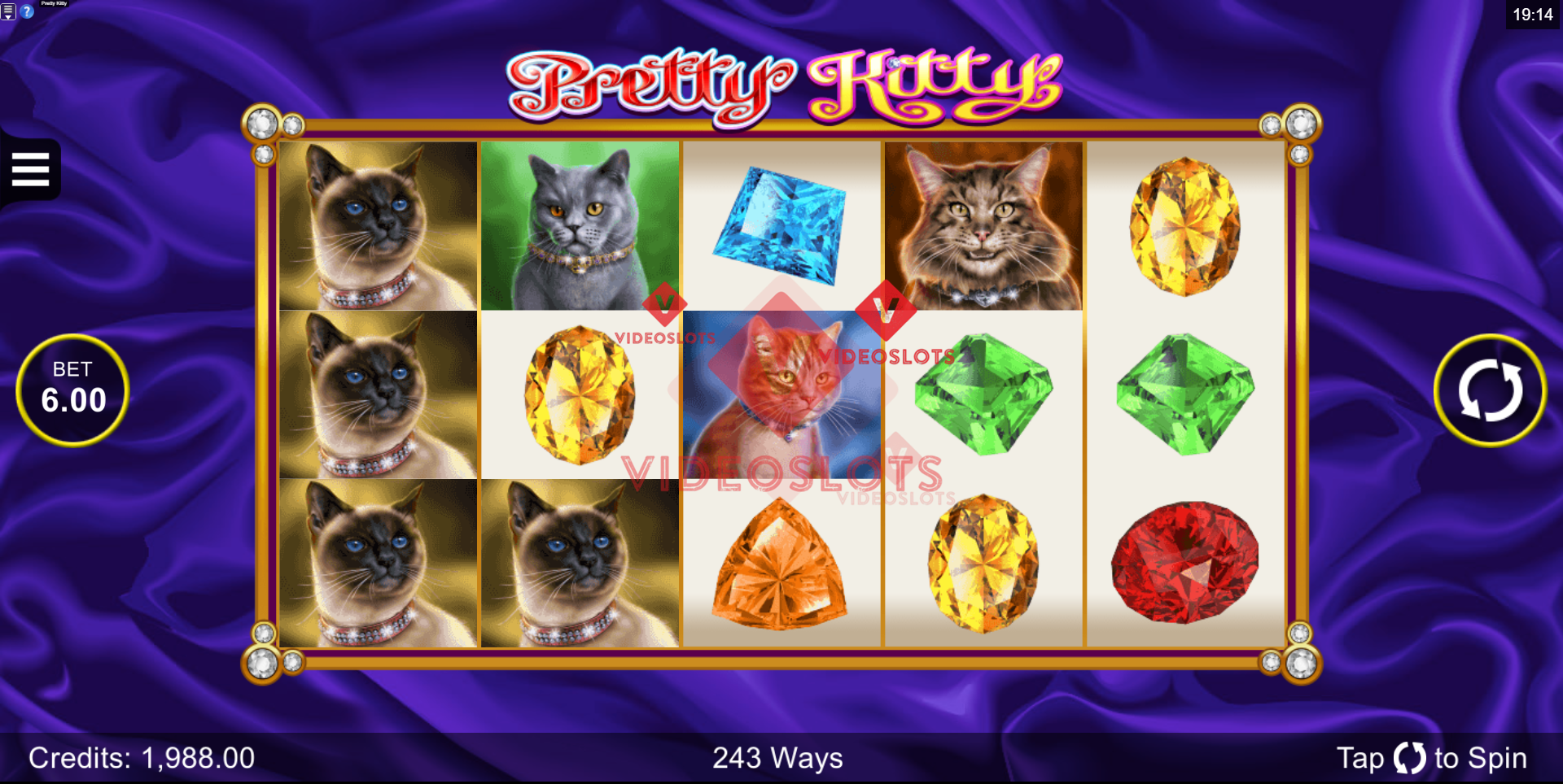 Base Game for Pretty Kitty slot for Microgaming