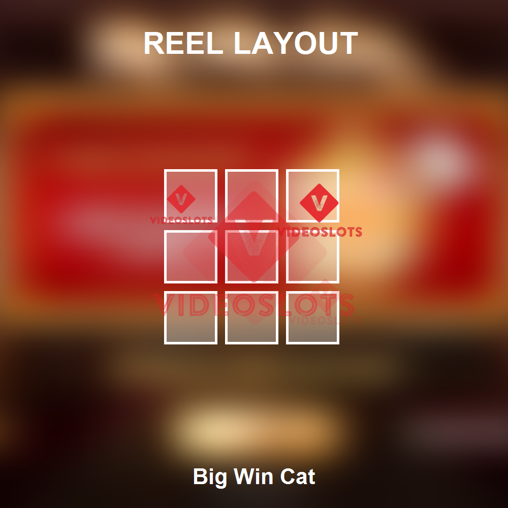 Big Win Cat reel layout