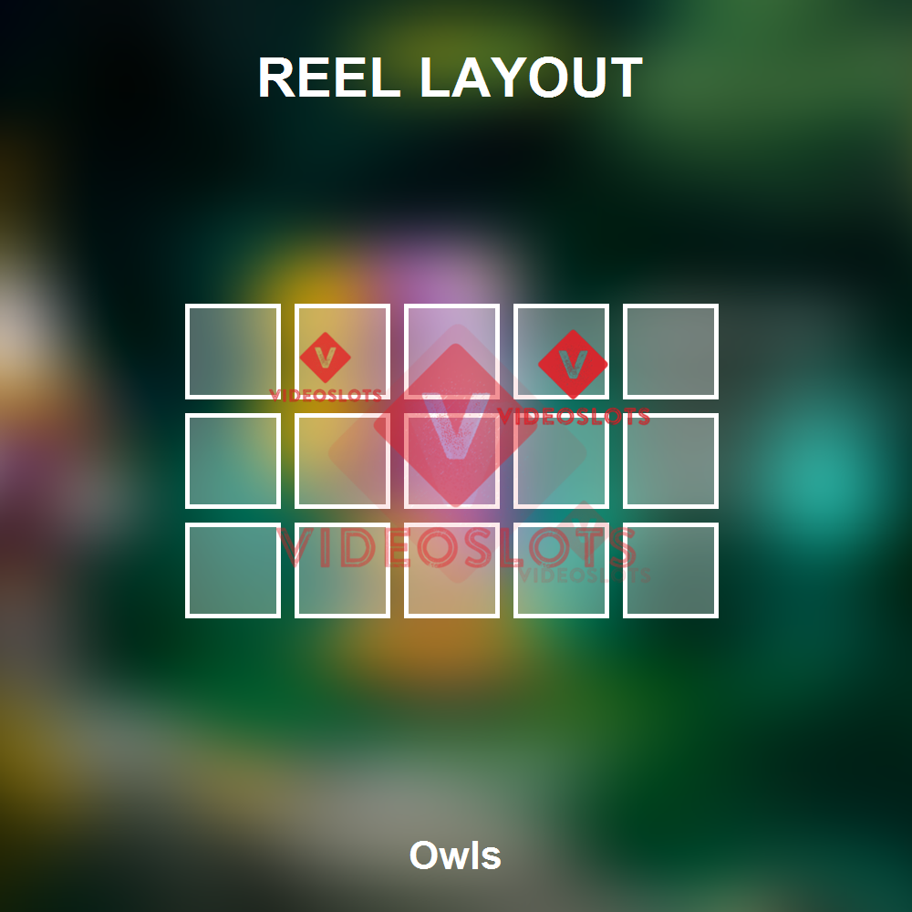 Owls reel layout
