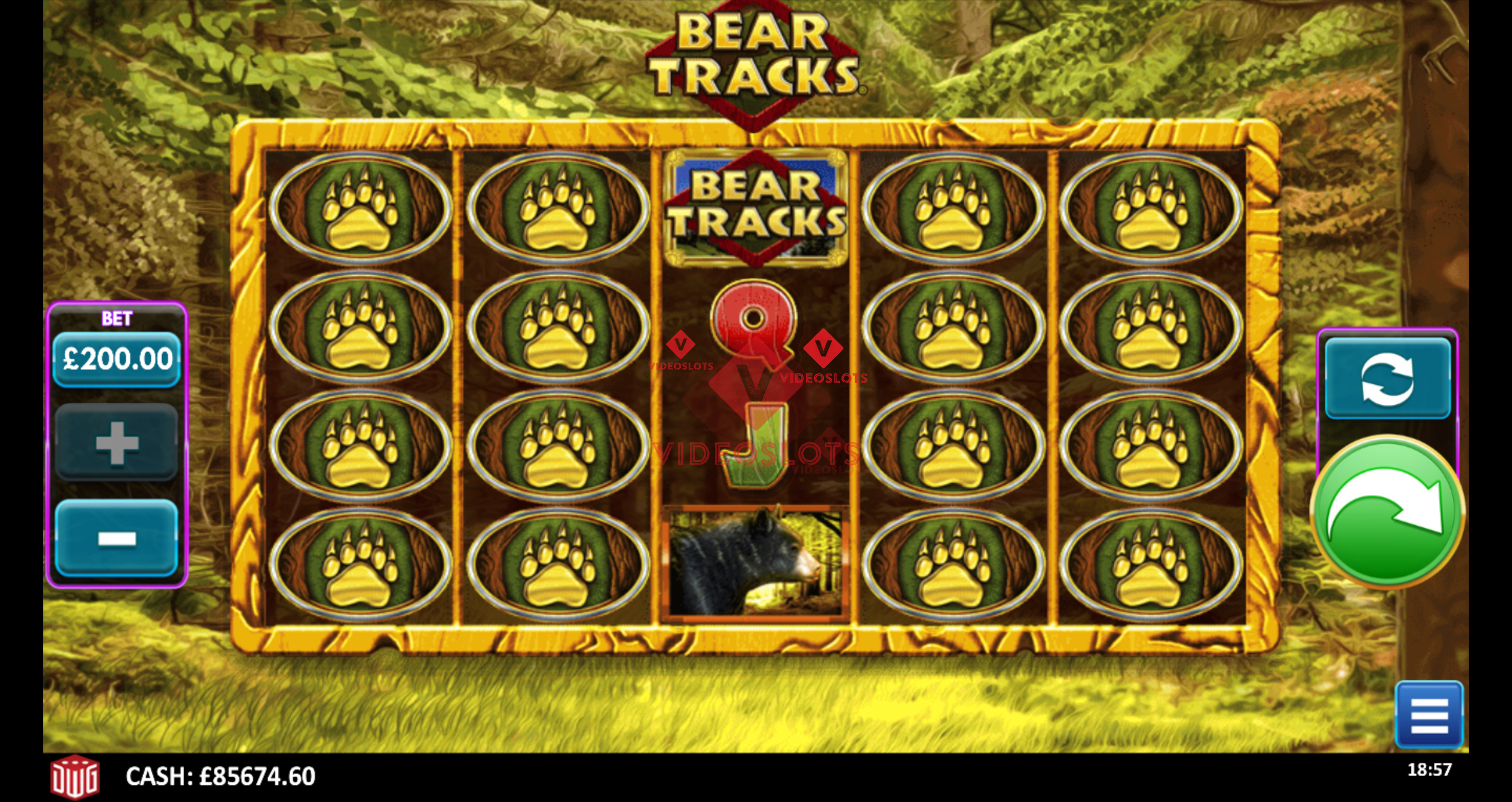 Base Game for Bear Tracks slot from Greentube
